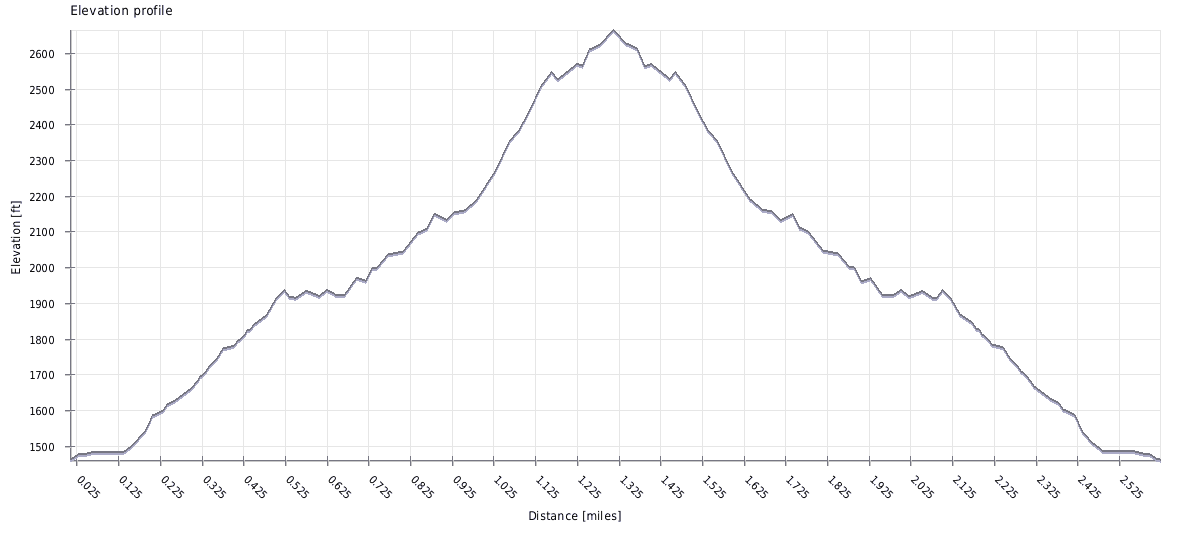 Camelback Mountain Hike Cholla Trail