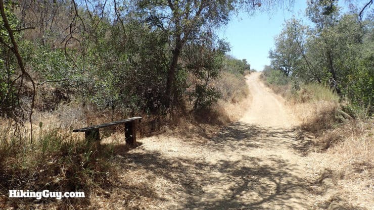 bench on trail