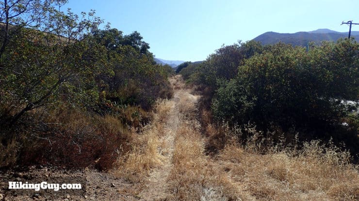 San Juan Creek trail 