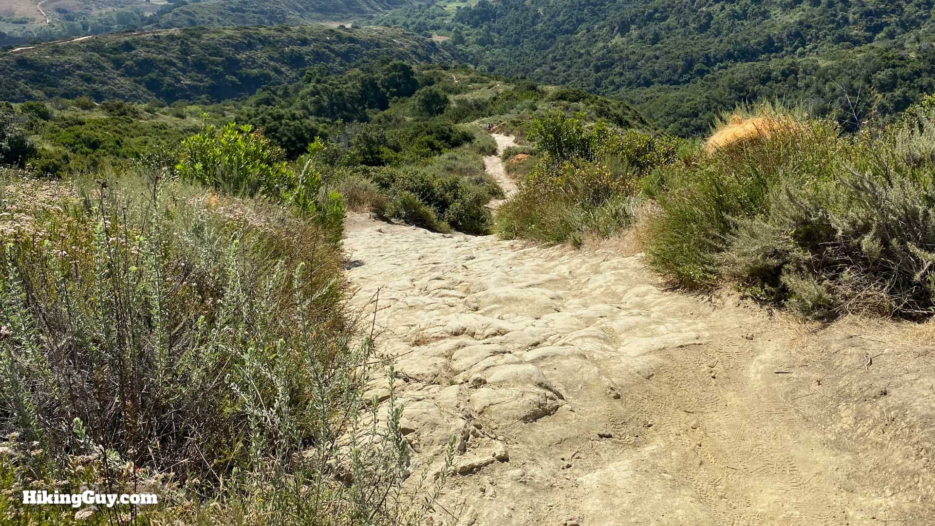 Car Wreck Trail Directions 22