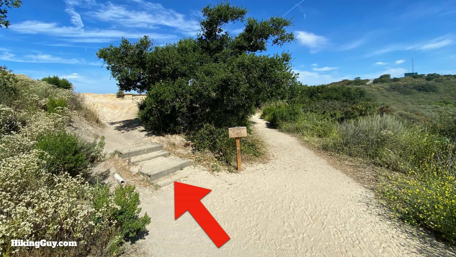 Car Wreck Trail Guide (Laguna Beach)