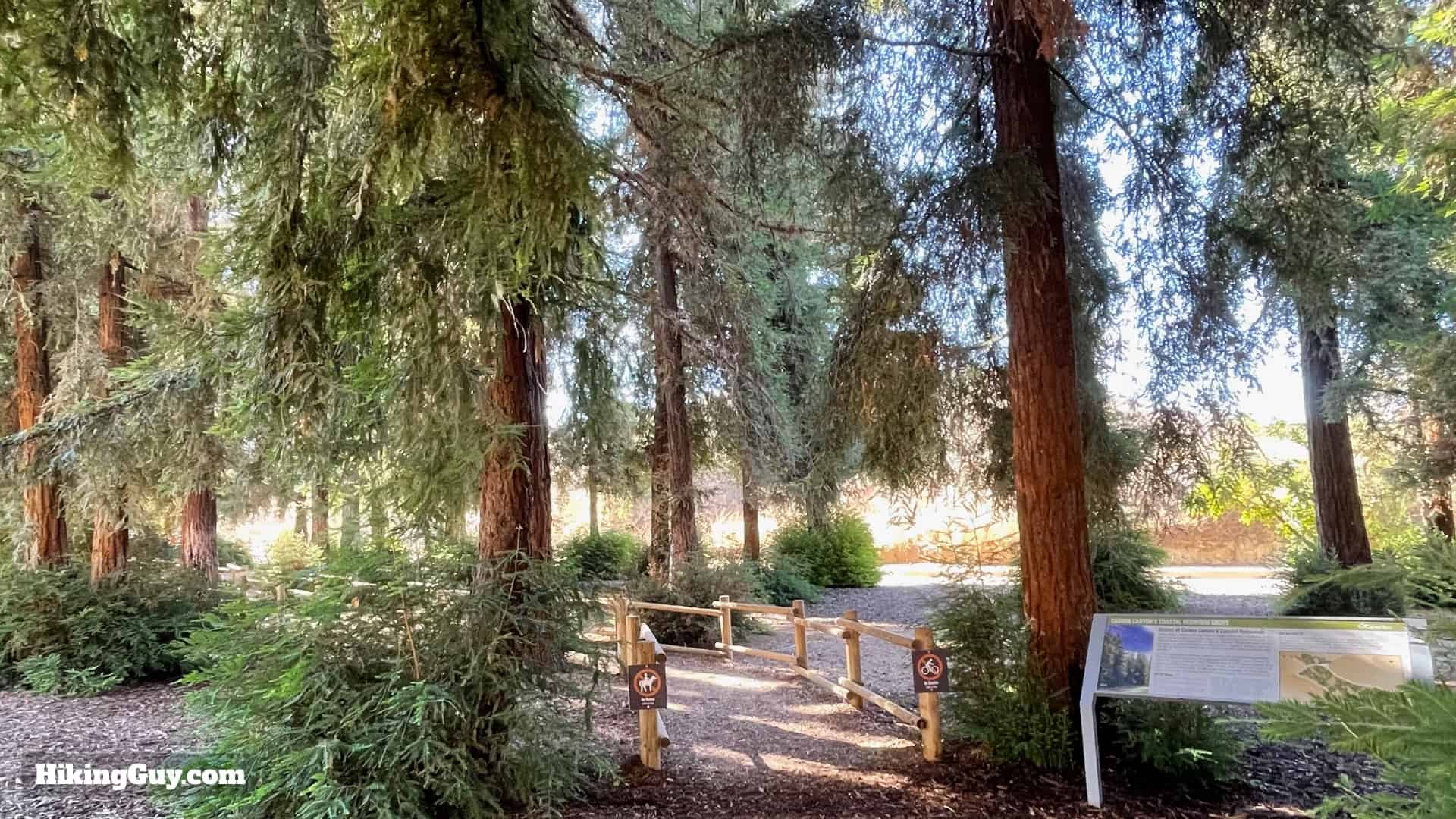 Carbon Canyon Regional Park (Redwood Grove) photo 9