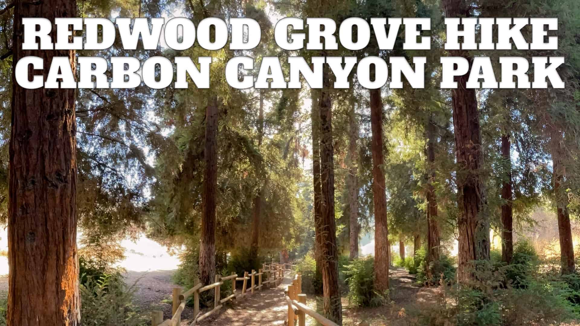 Carbon Canyon Regional Park Map Redwood Grove Hike Guide (Carbon Canyon – Brea) – Hikingguy.com