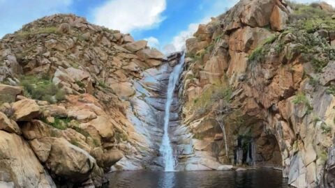 Cedar Creek Falls Trail Guide