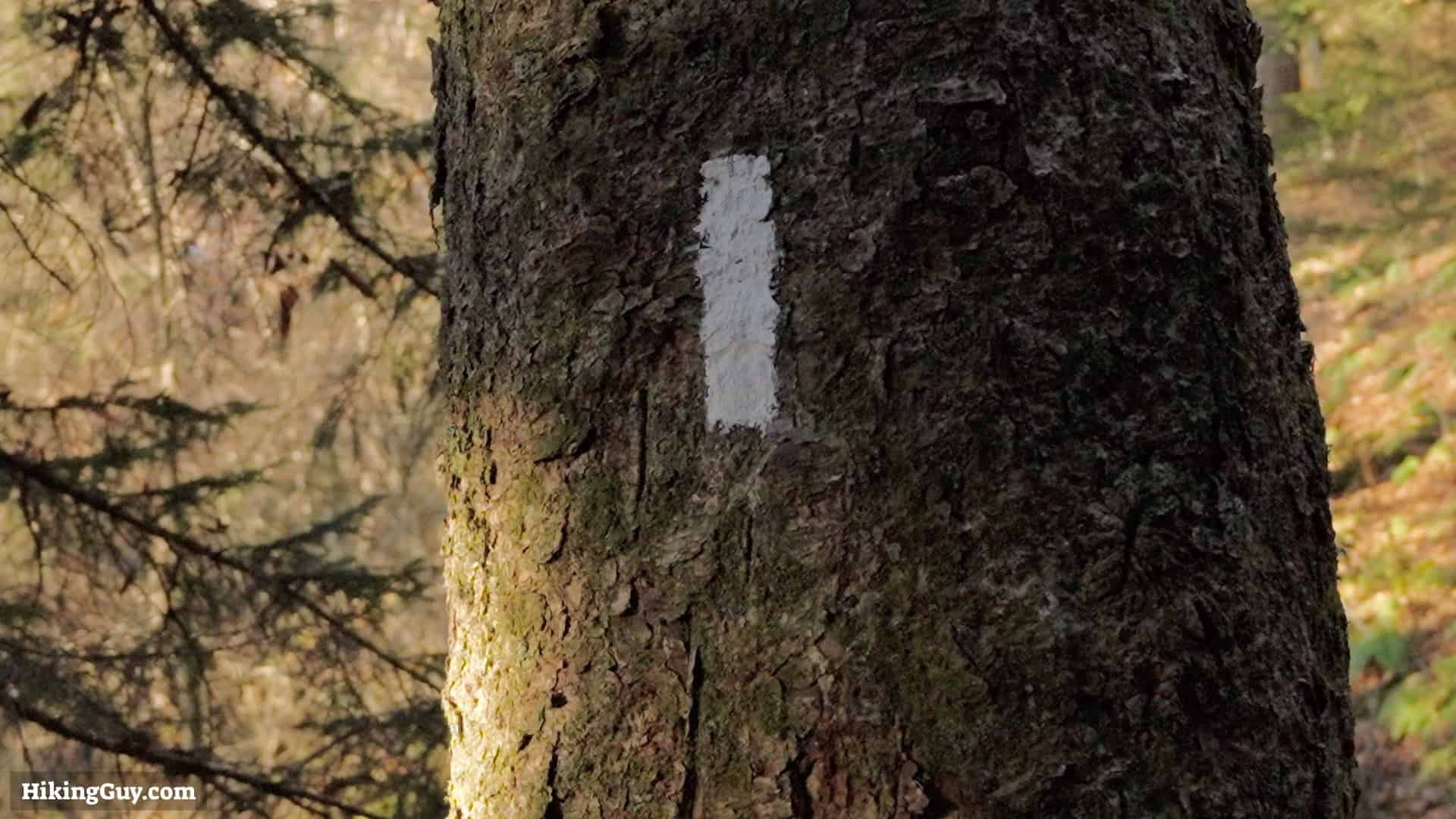 Charlies Bunion Trail Blaze