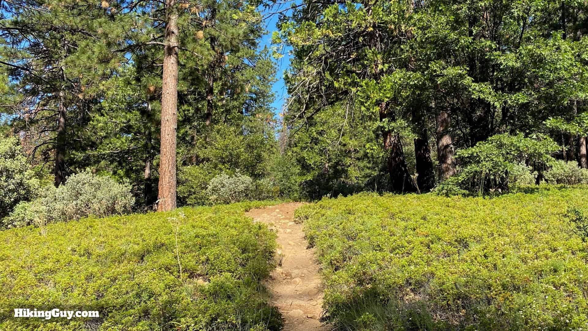 Chilnualna Falls Trail Directions 14