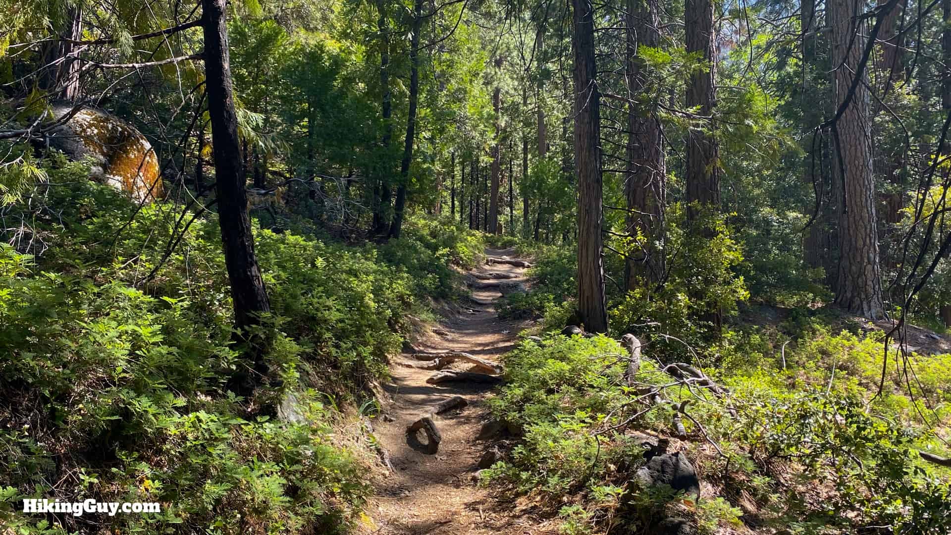 Chilnualna Falls Trail Directions 16