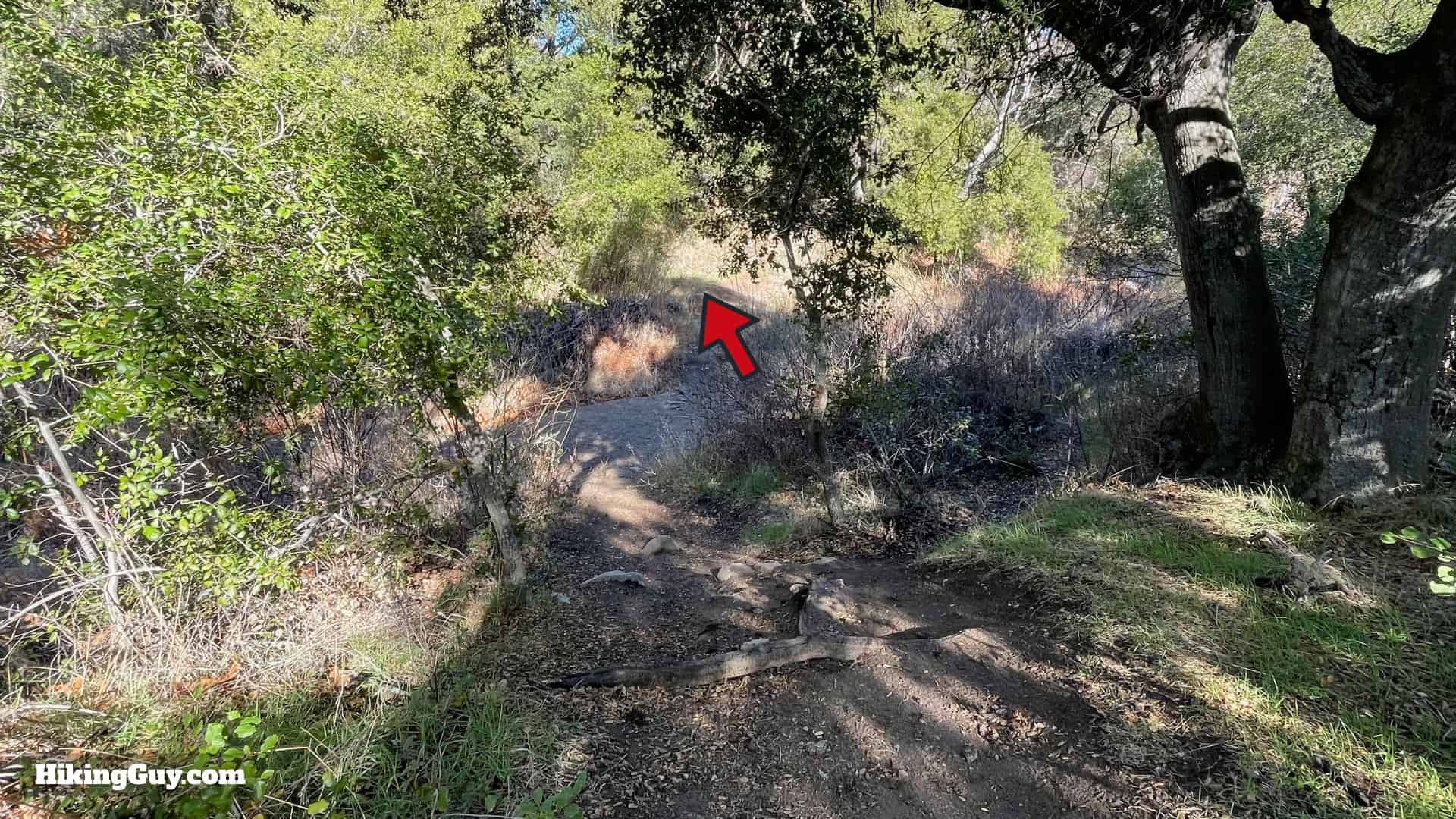 Chiquito Falls Trail Directions 16