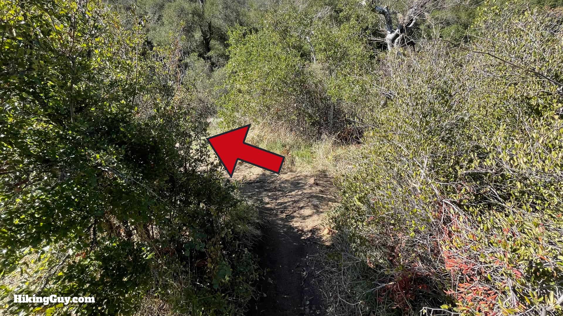 Chiquito Falls Trail Directions 31