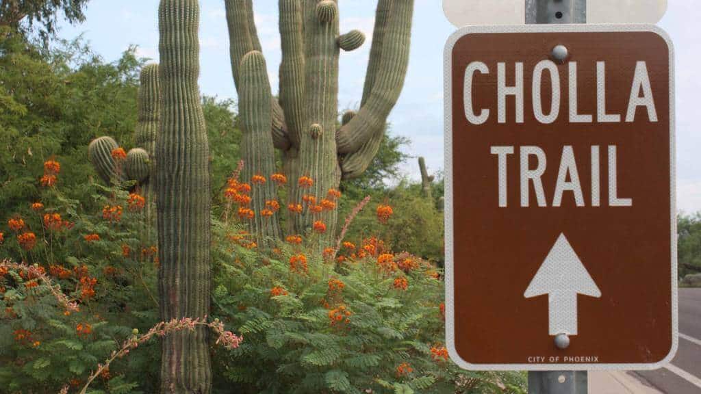 Cholla Trail sign