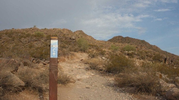 Cholla Trail signs