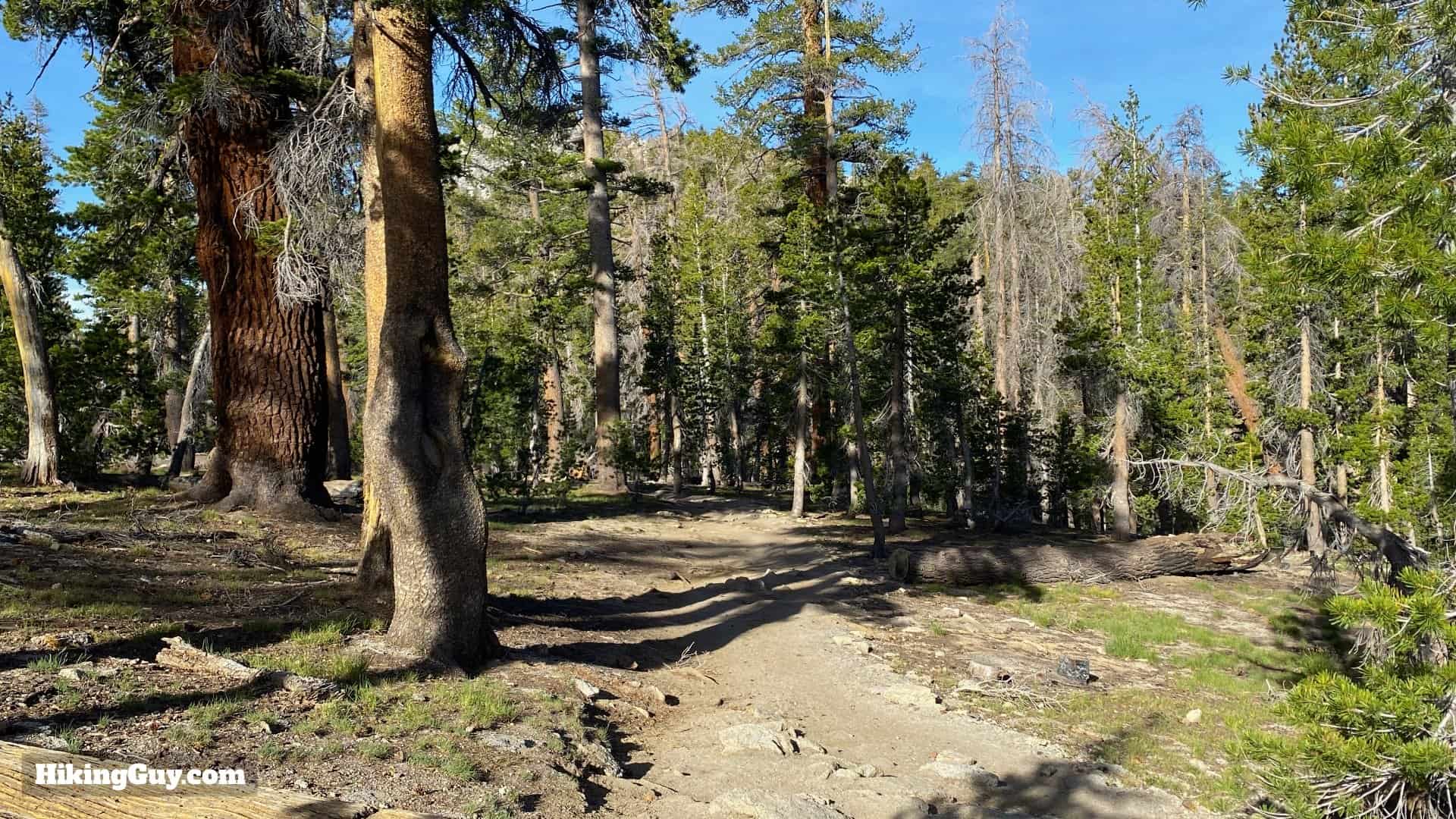 Clouds Rest Hike Directions 23