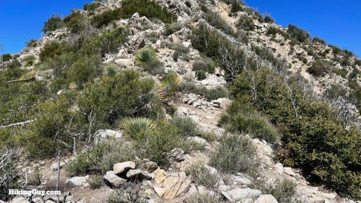 Condor Peak Trail Directions 32