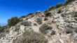 Condor Peak Trail Directions 35