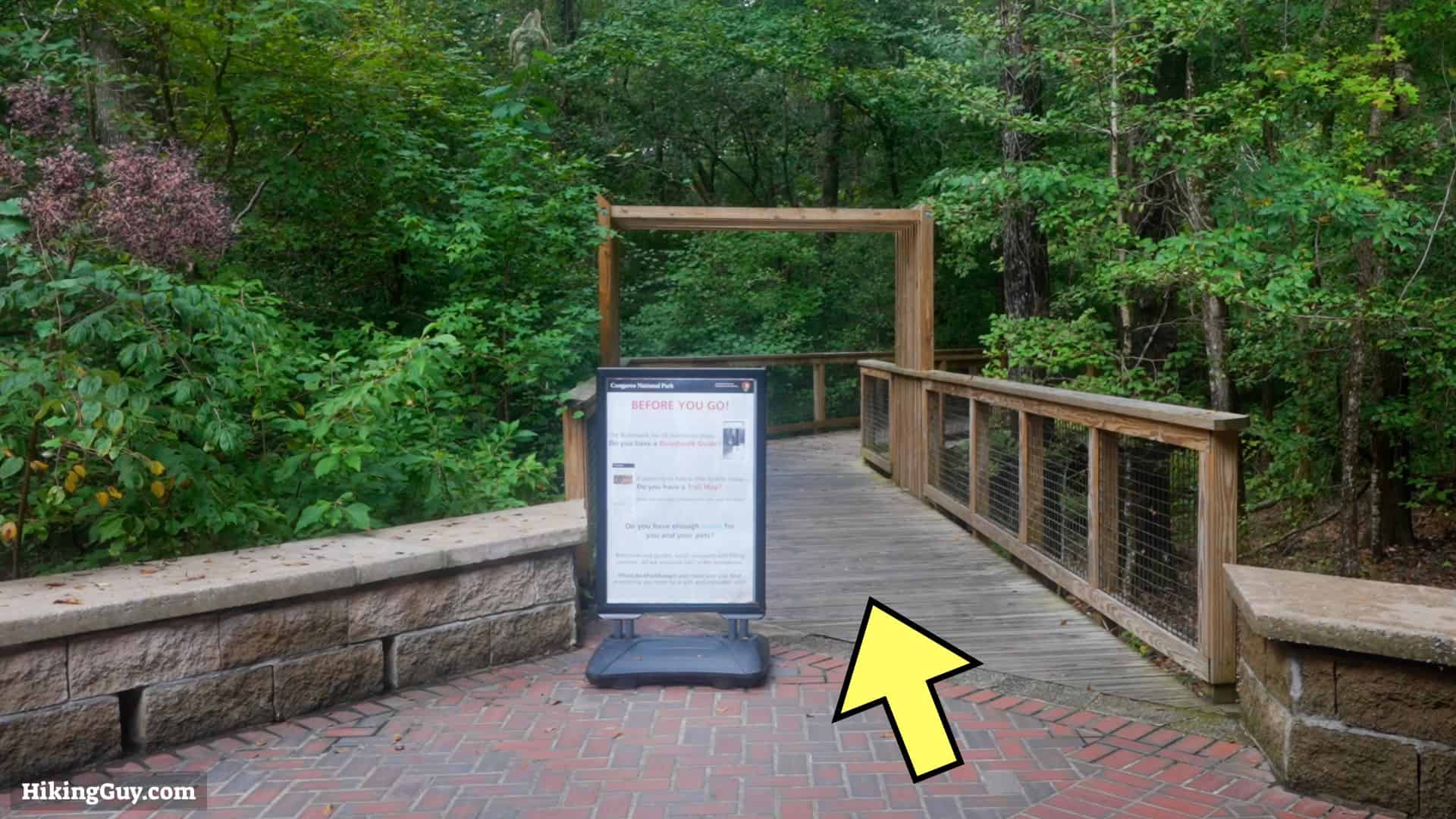 Congaree Boardwalk Loop Hike 1