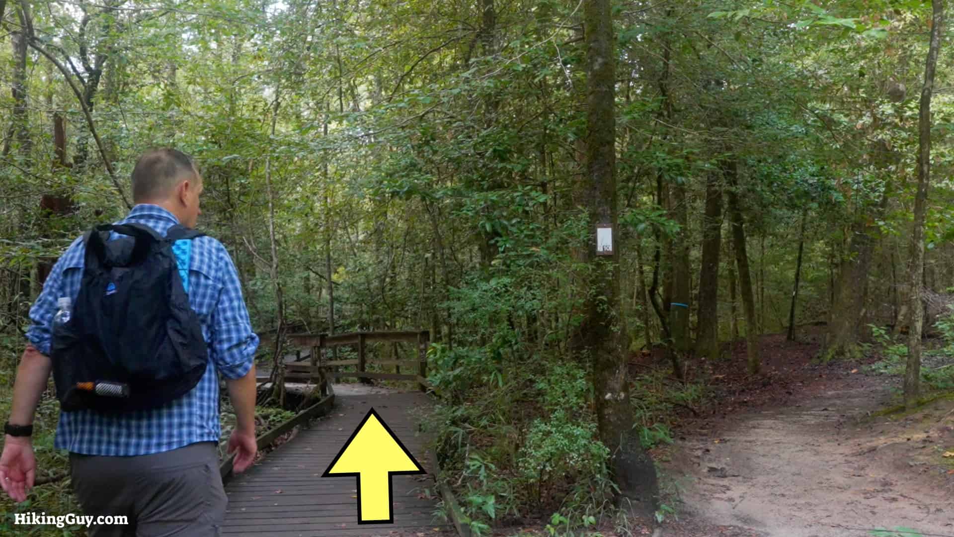 Congaree Boardwalk Loop Hike 12