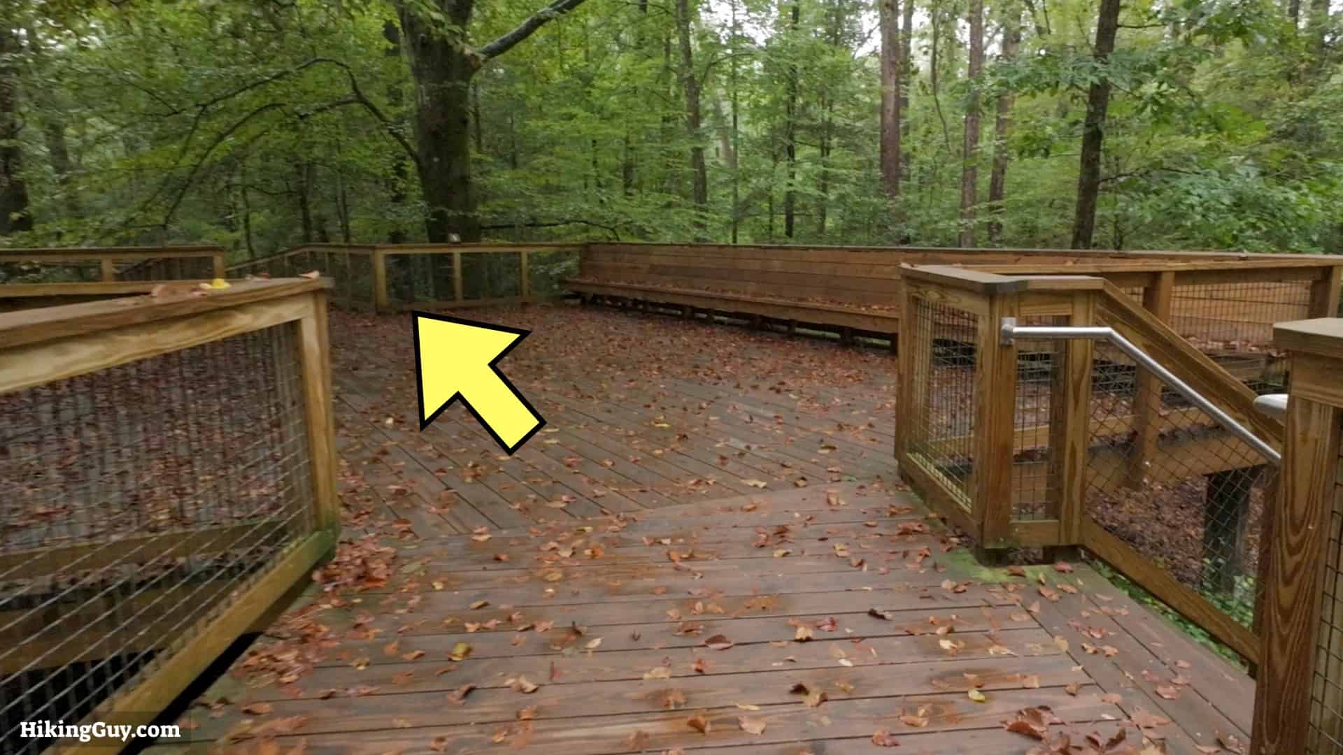 Congaree Boardwalk Loop Hike 2