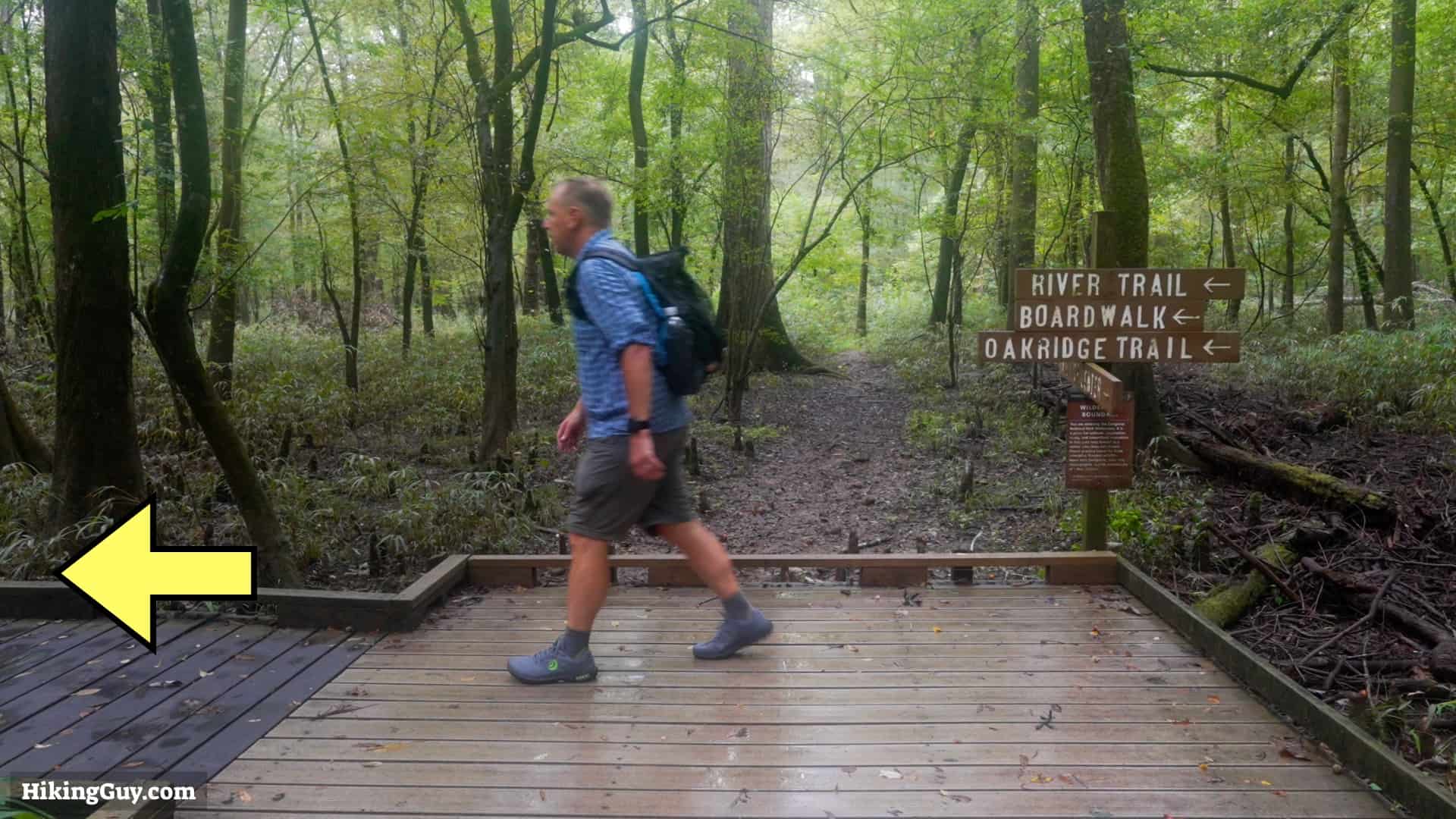 Congaree Boardwalk Loop Hike 5