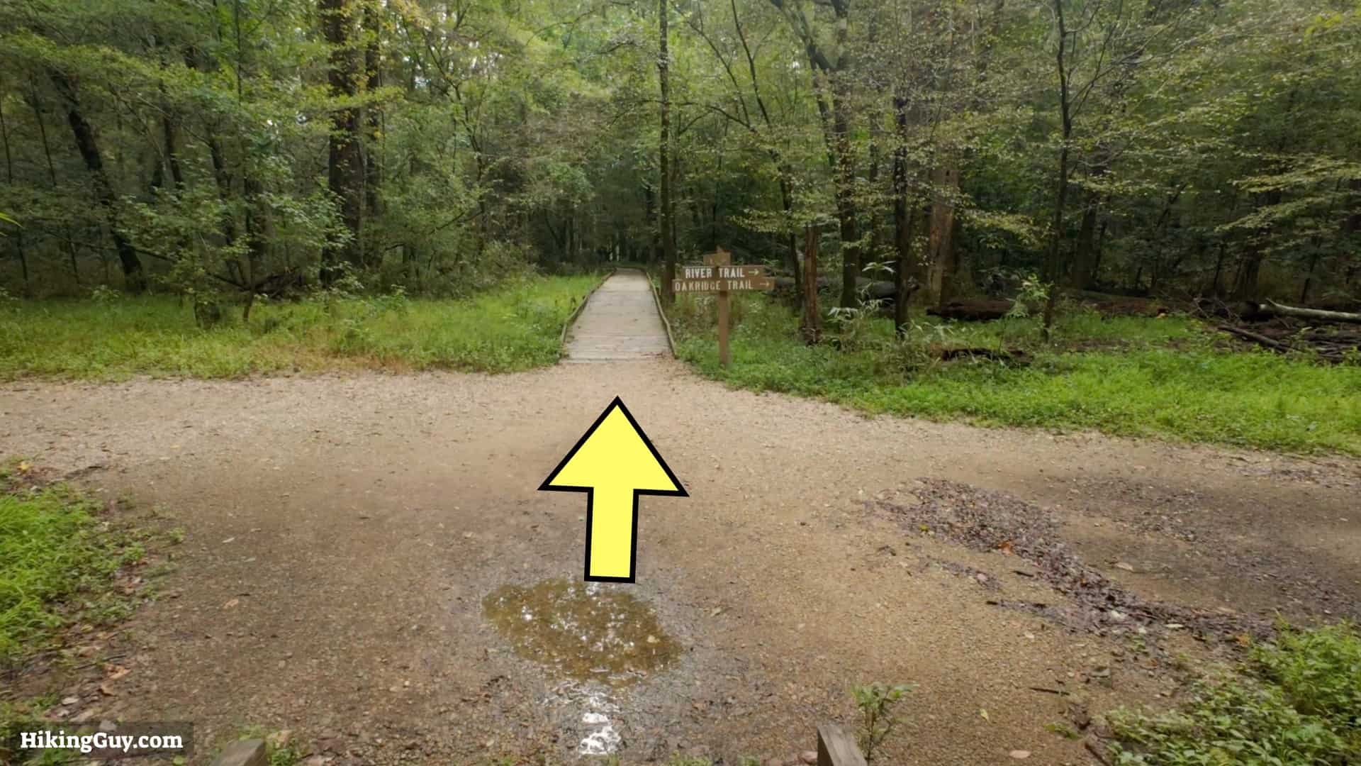 Congaree Boardwalk Loop Hike 6