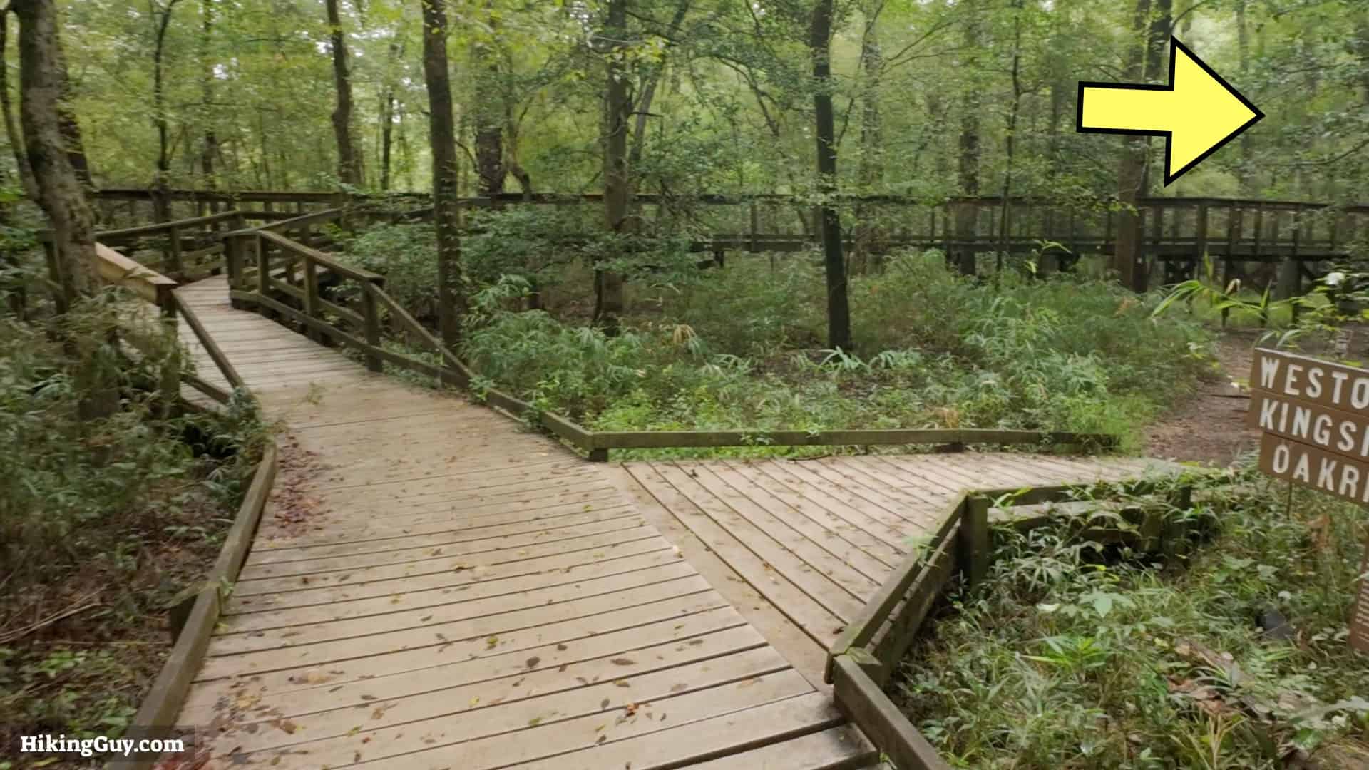 Congaree Boardwalk Loop Hike 7