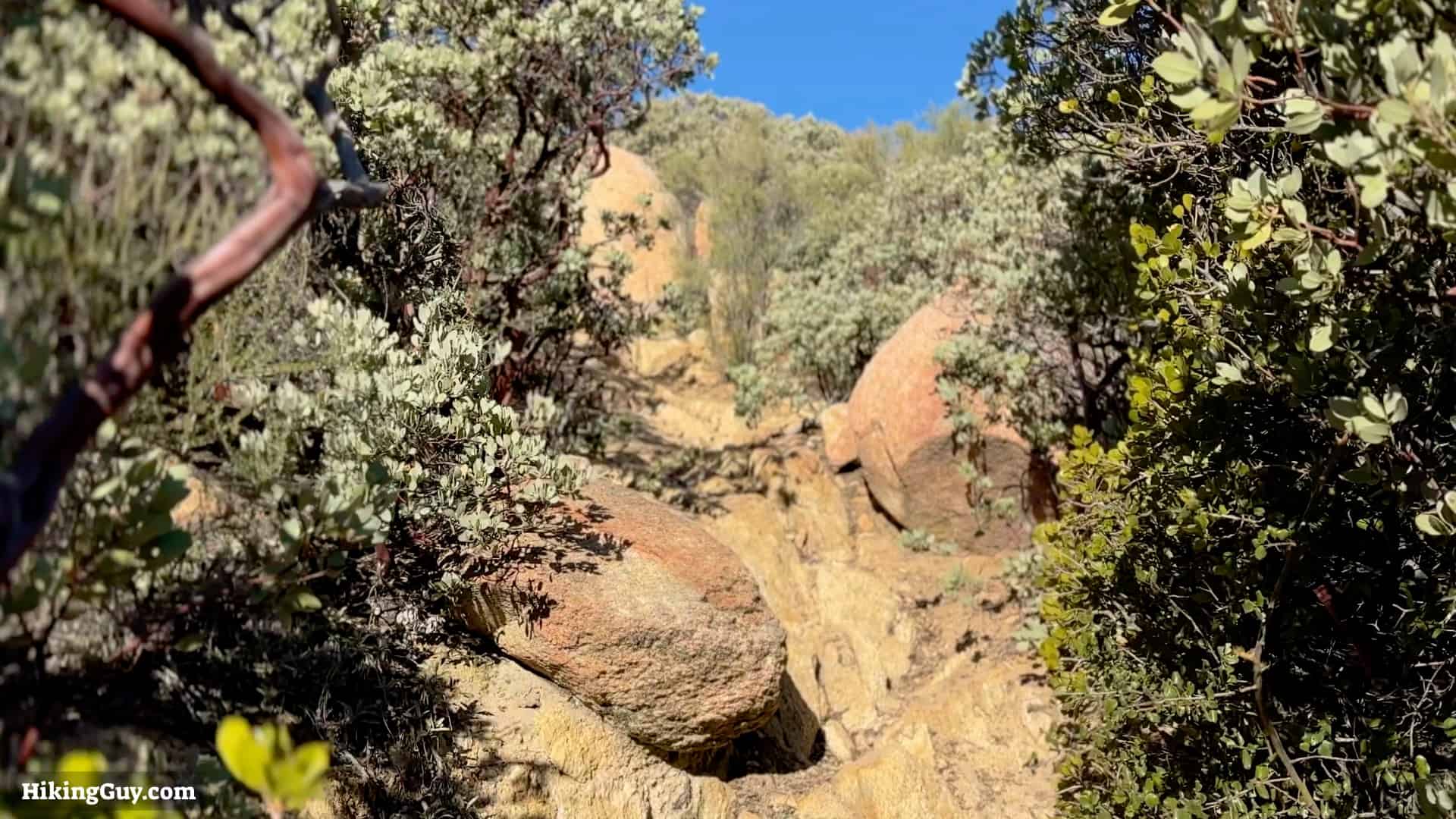 Corte Madera Mountain Hike