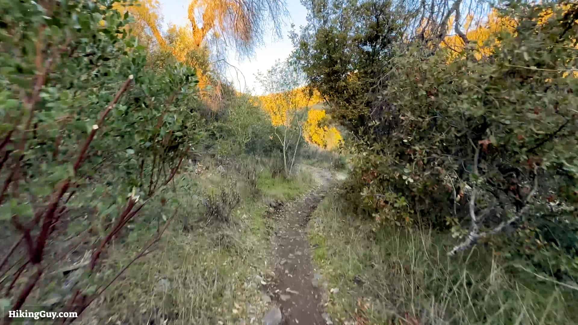 Corte Madera Hike Directions 6