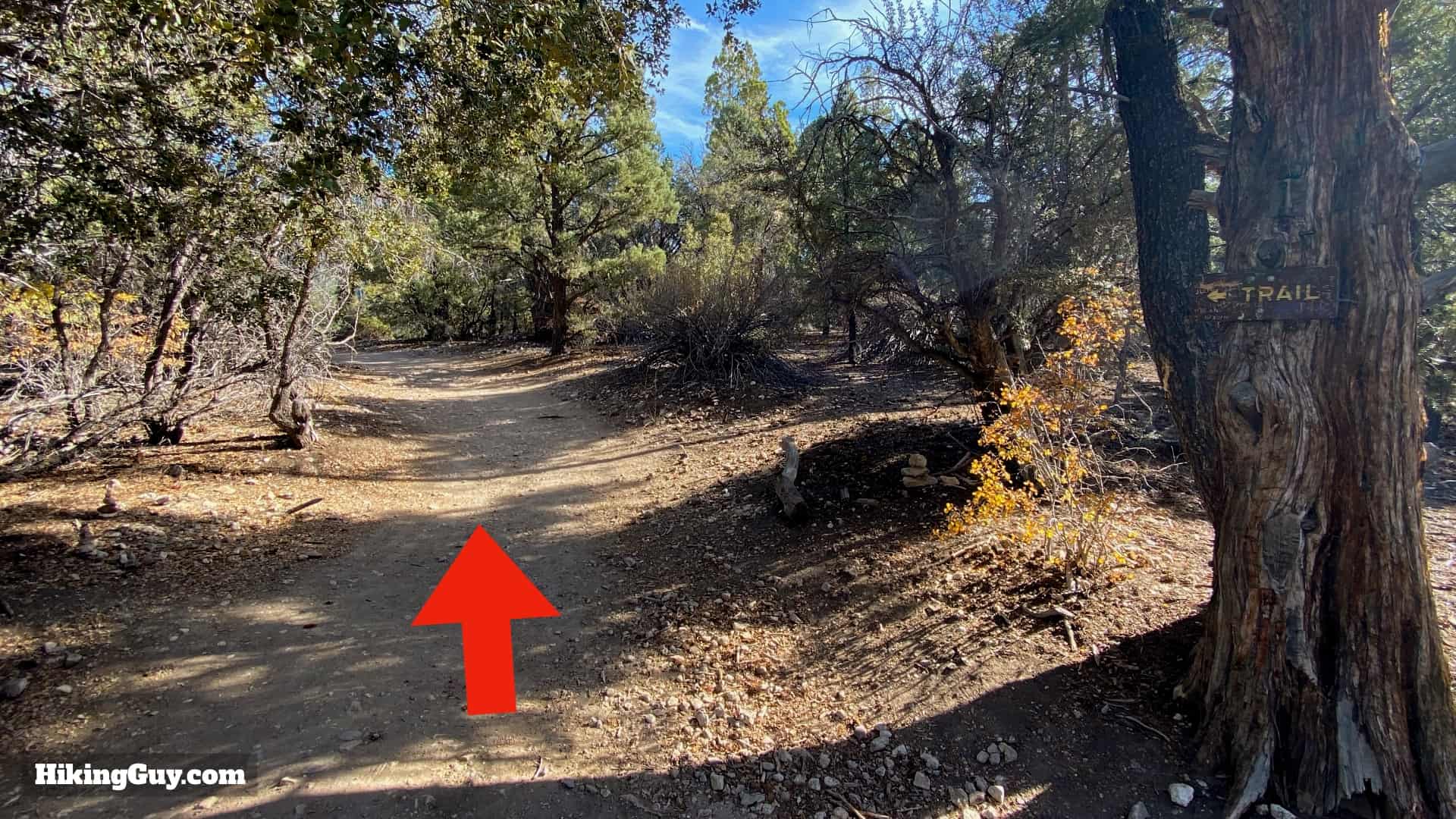 Cougar Crest Trail Hike Directions 10