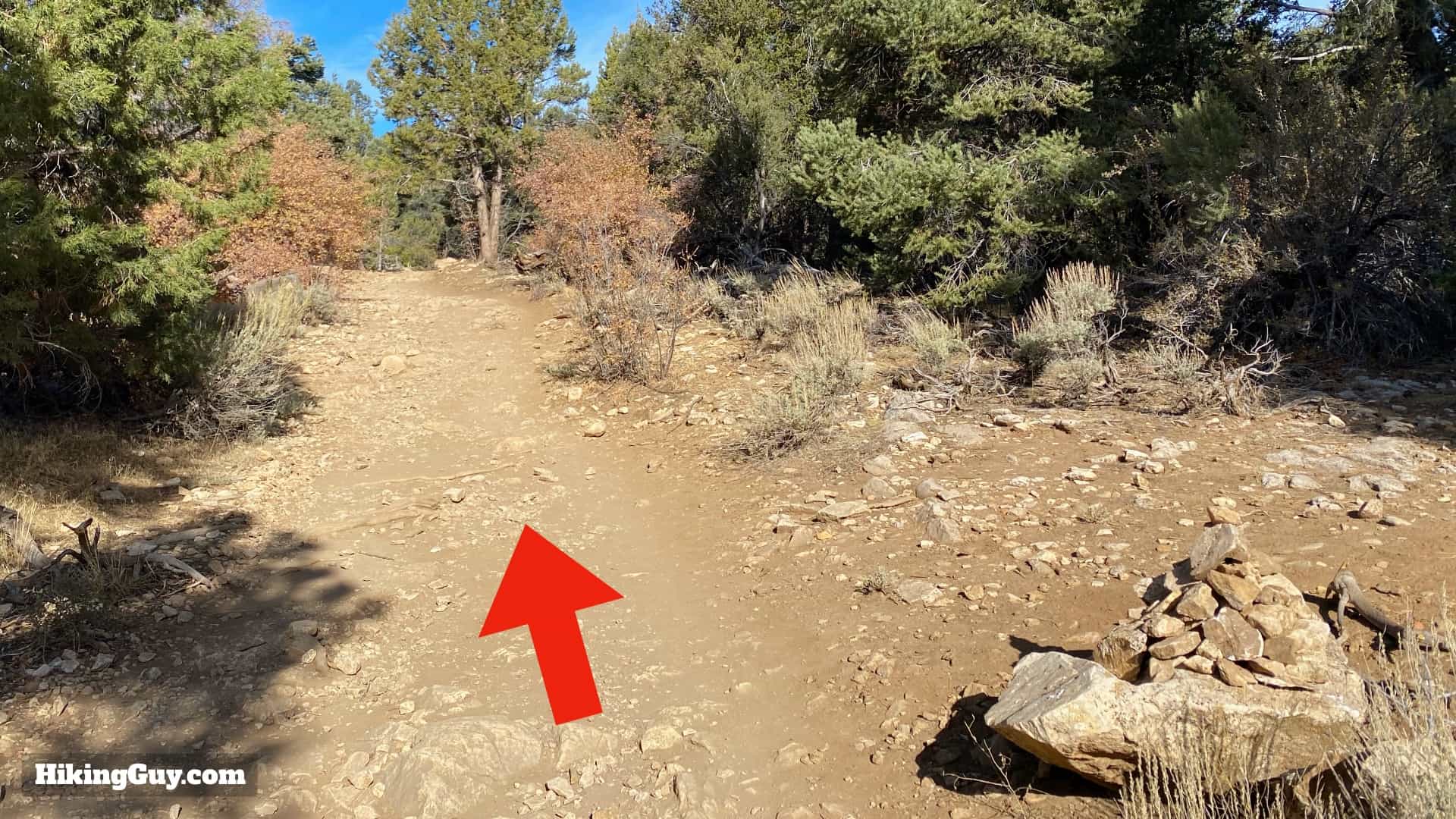 Cougar Crest Trail Hike Directions 11