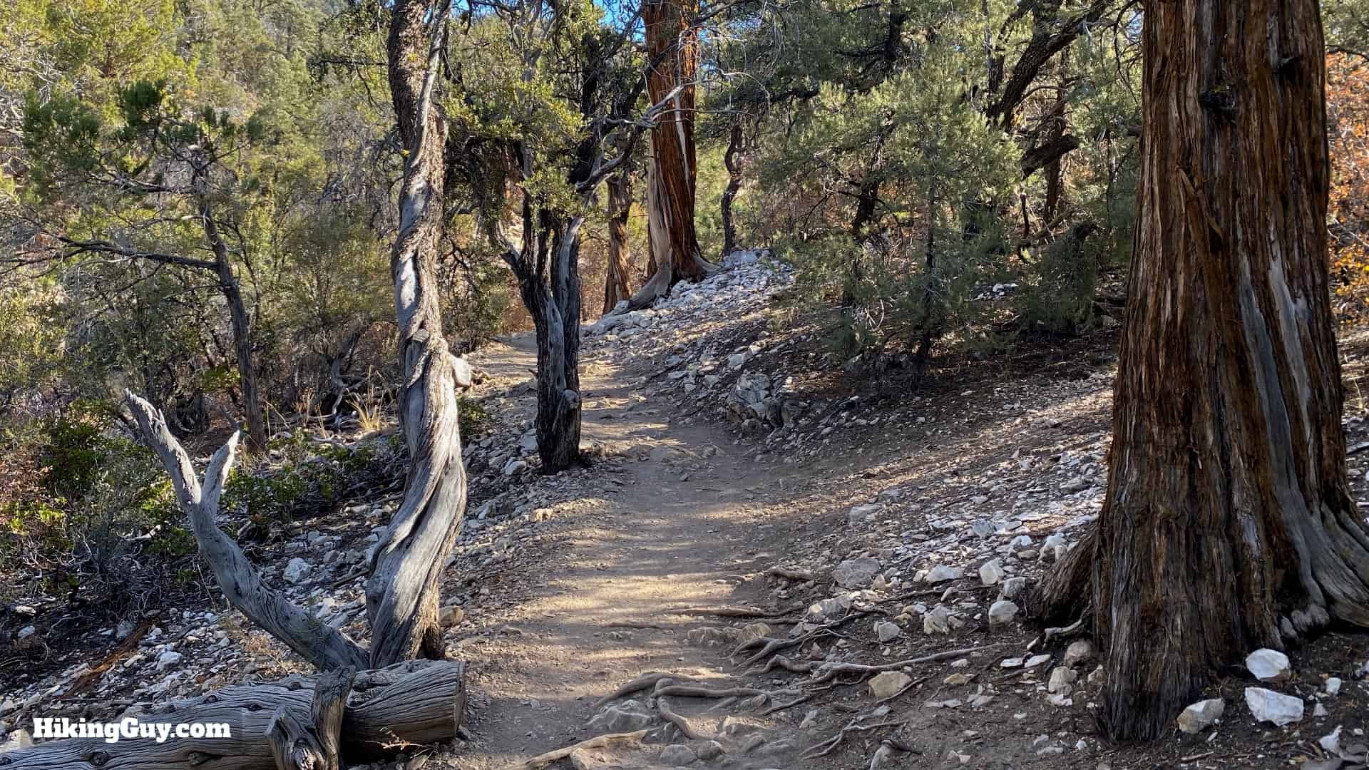 Cougar Crest Trail Hike Directions 12