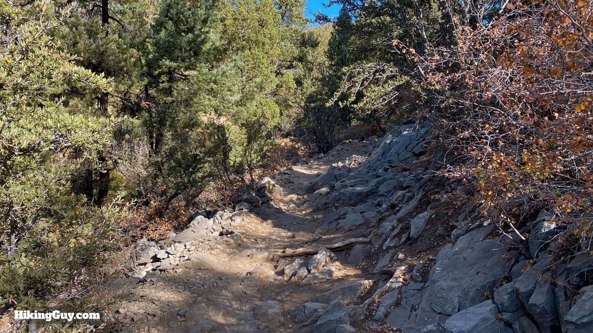 Cougar Crest Trail Hike Directions 13