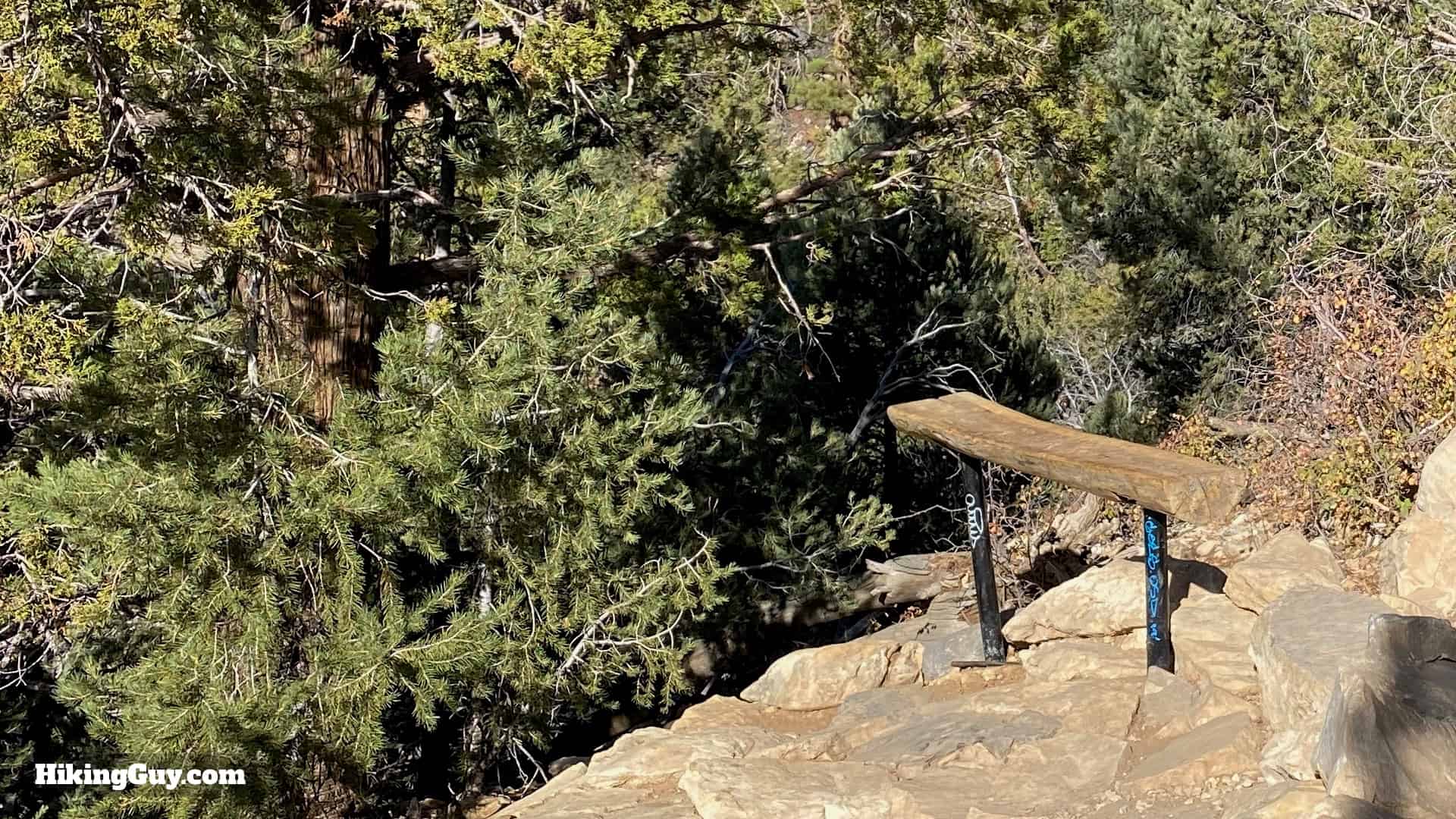 Cougar Crest Trail Hike Directions 15