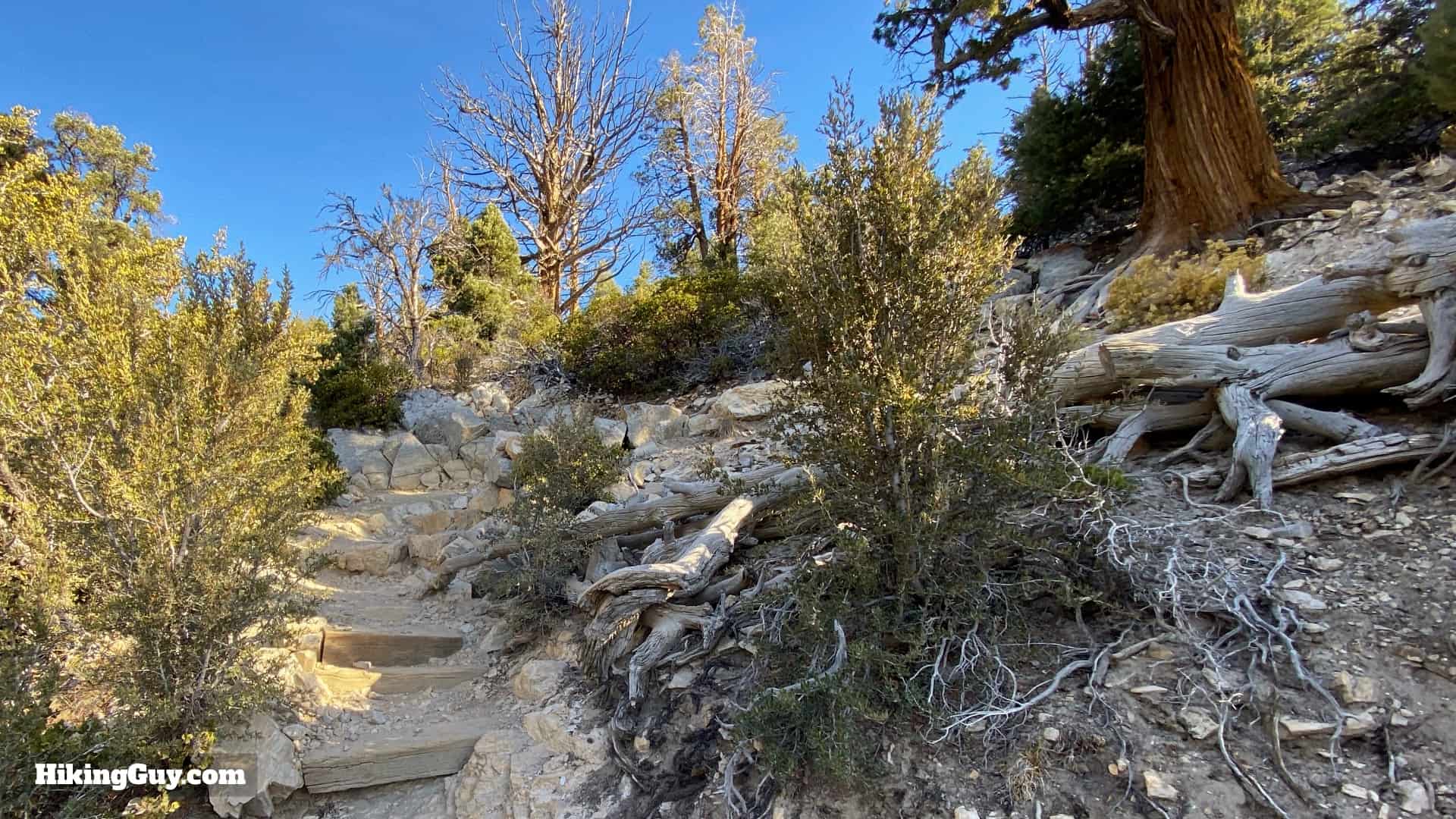 Cougar Crest Trail Hike Directions 16
