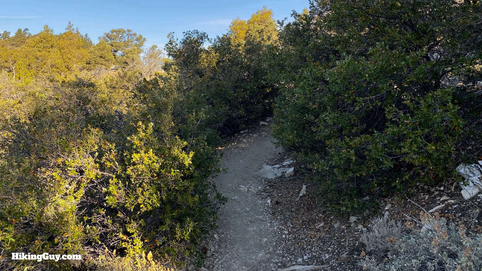Cougar Crest Trail Hike Directions 19