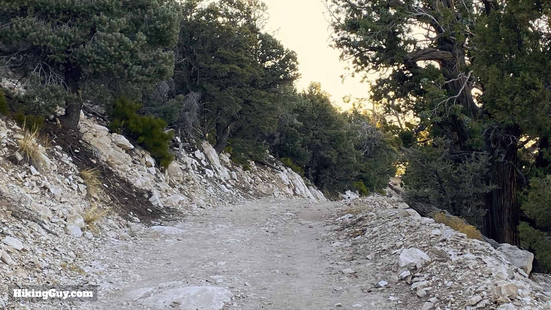 Cougar Crest Trail Hike Directions 28