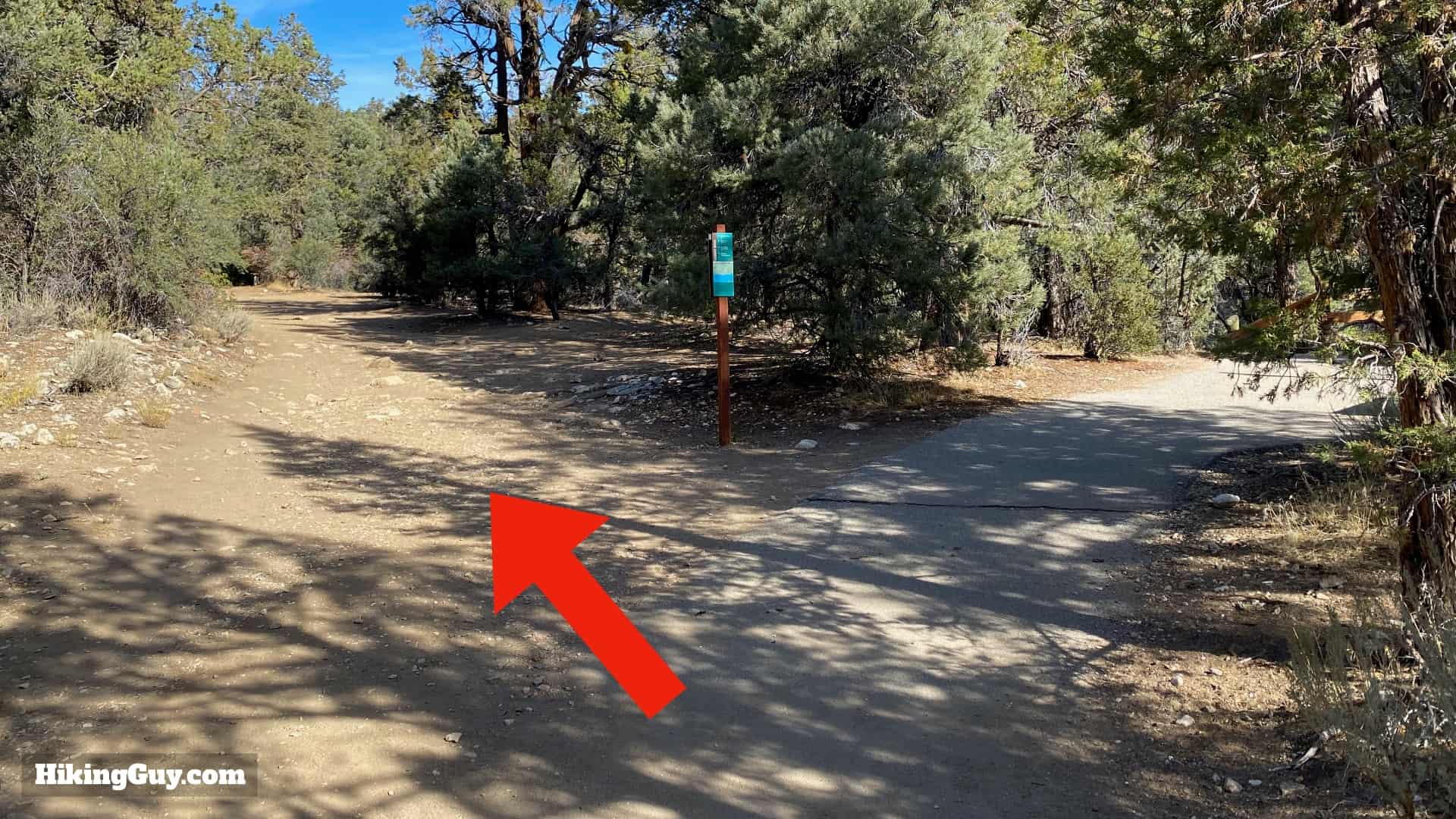 Cougar Crest Trail Hike Directions 5