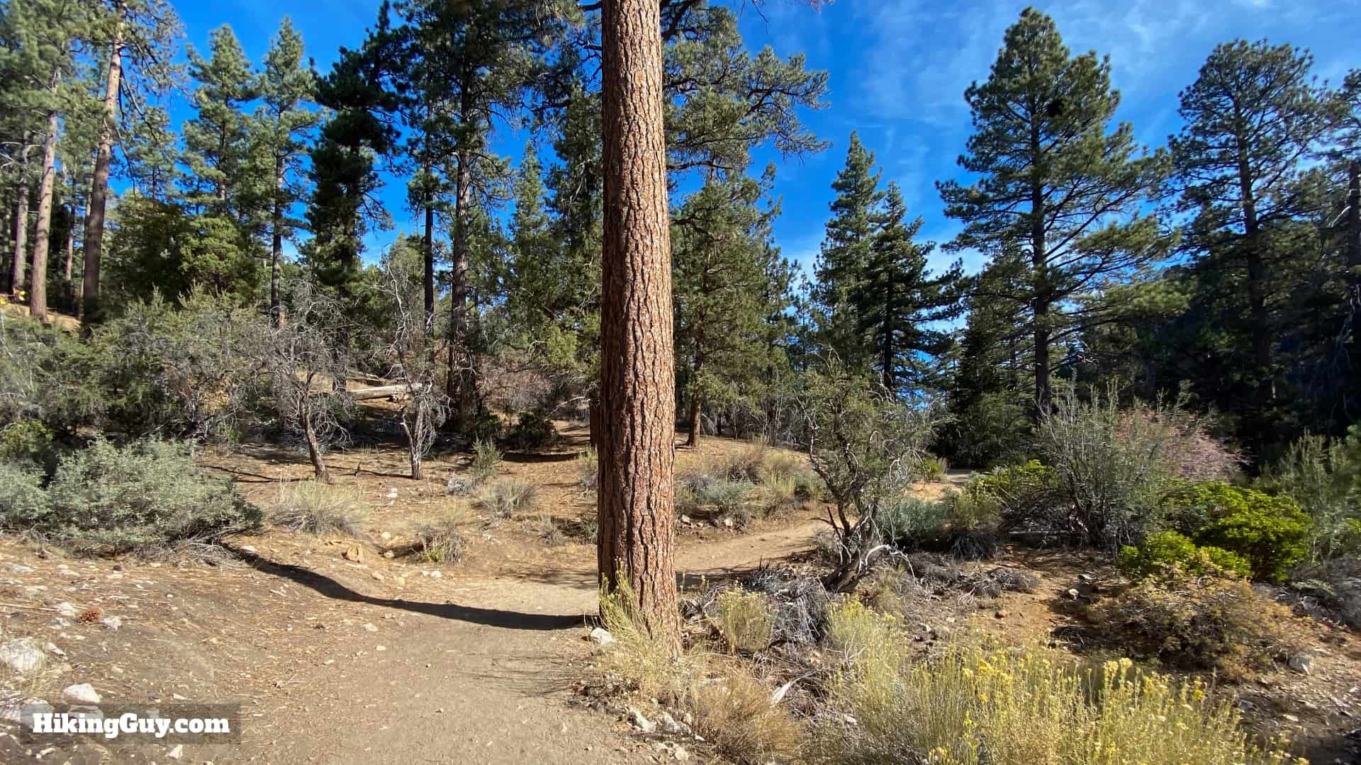 Cougar Crest Trail Hike Directions 6