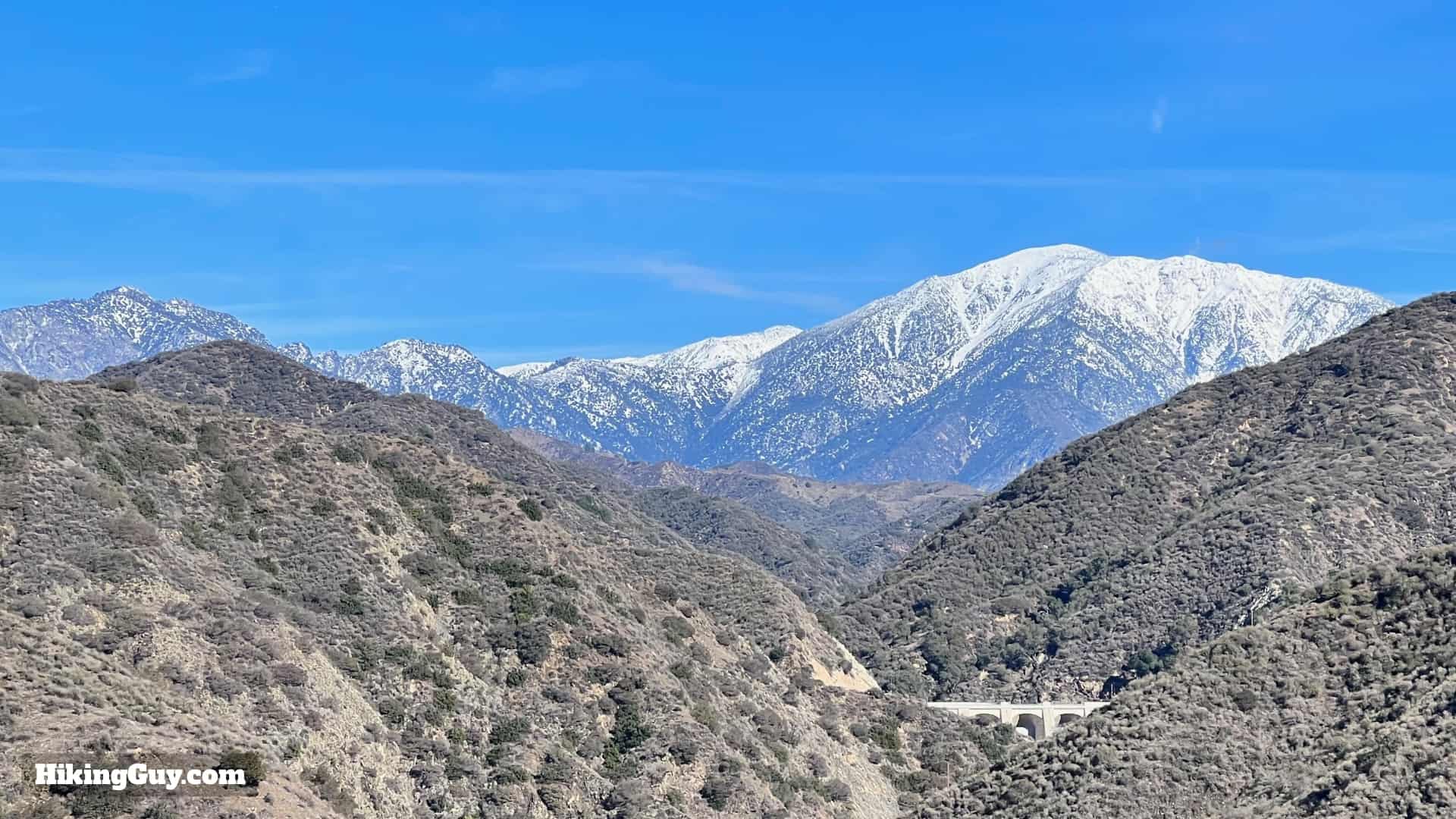 Coulter Pine Trail 11