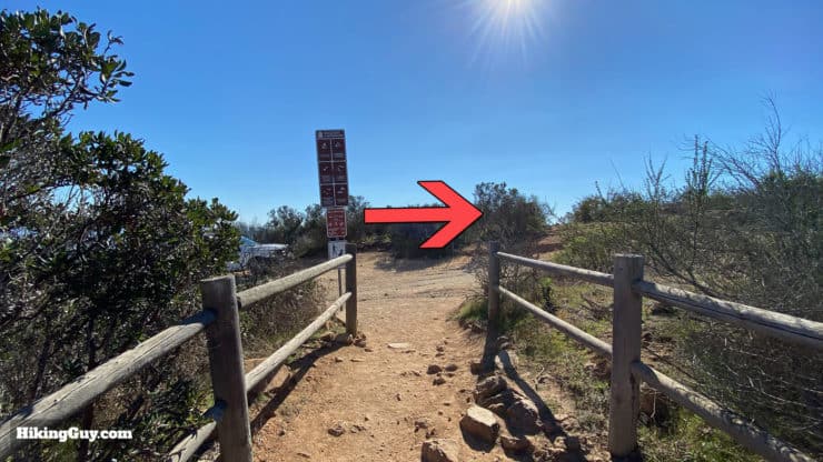 Cowles Mountain Hike Update 12