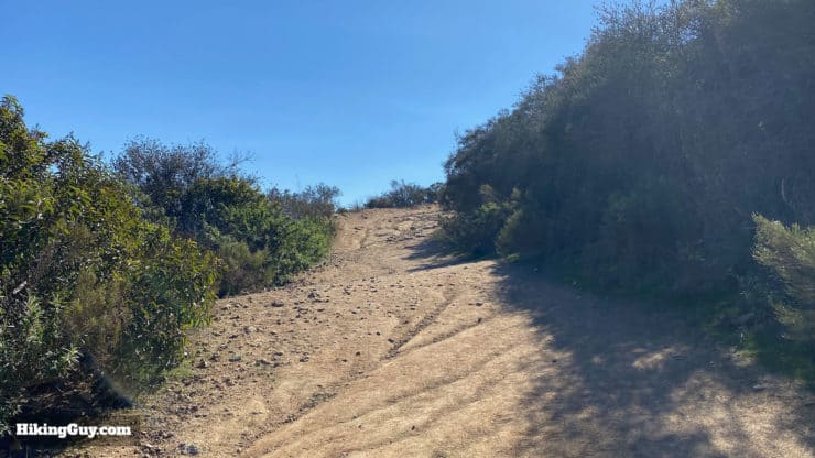 Cowles Mountain Hike Update 15