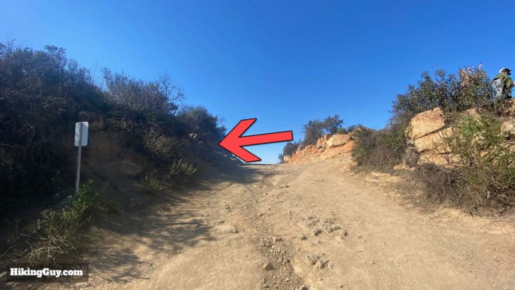 Cowles Mountain Hike Update 16
