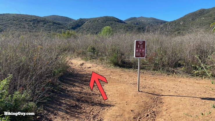 Cowles Mountain Hike Update 8