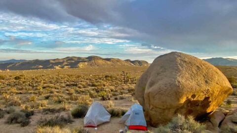 California Riding and Hiking Trail (Joshua Tree)