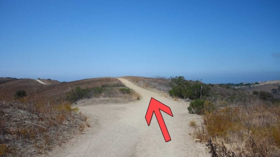 Crystal Cove Best of Hike HikingGuy - Crystal Cove Hike Trail 15 960x540 