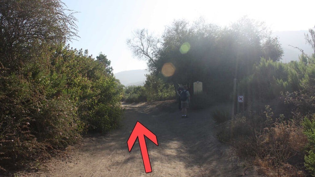 Crystal Cove Hike trail