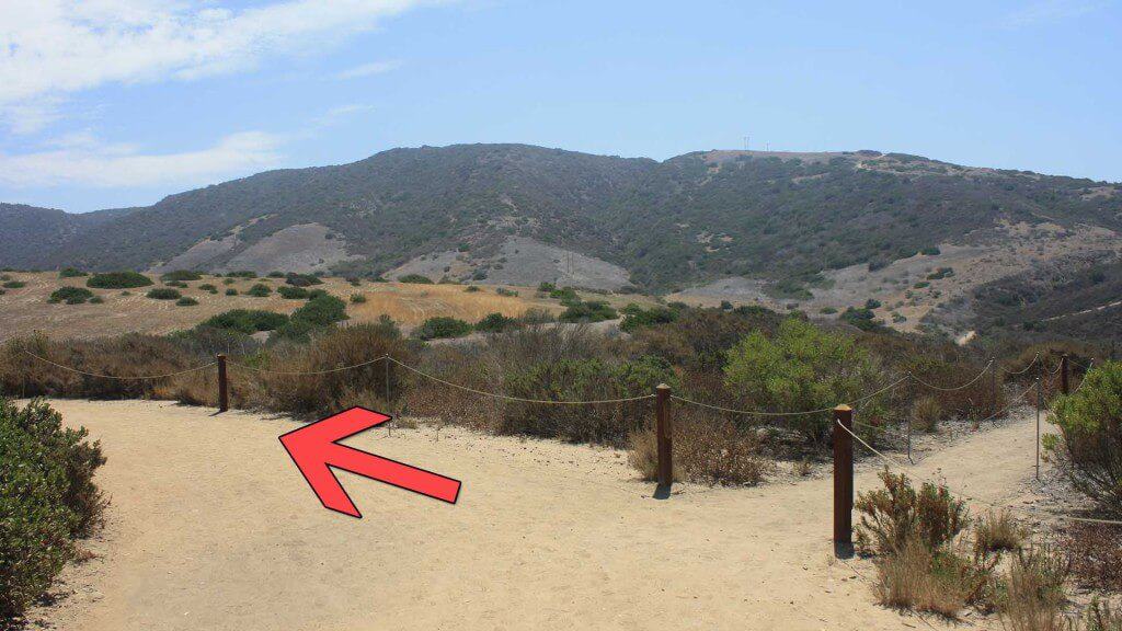 Crystal Cove Hike trail