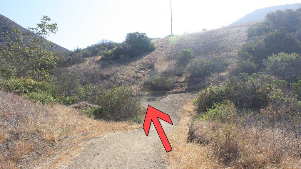 Crystal Cove Hike trail