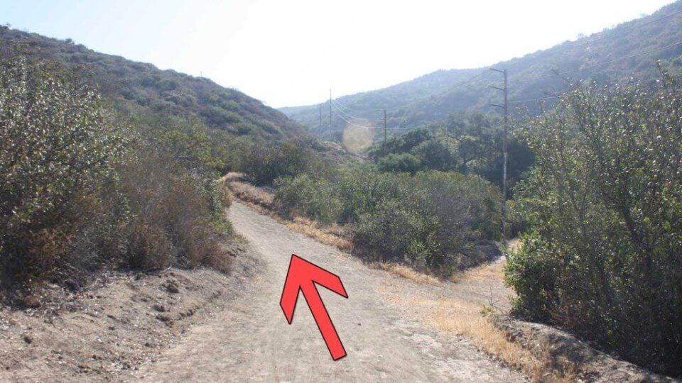 Crystal Cove Best of Hike HikingGuy - Crystal Cove Hike Trail 7 960x540 