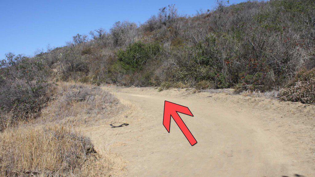 Crystal Cove Hike trail