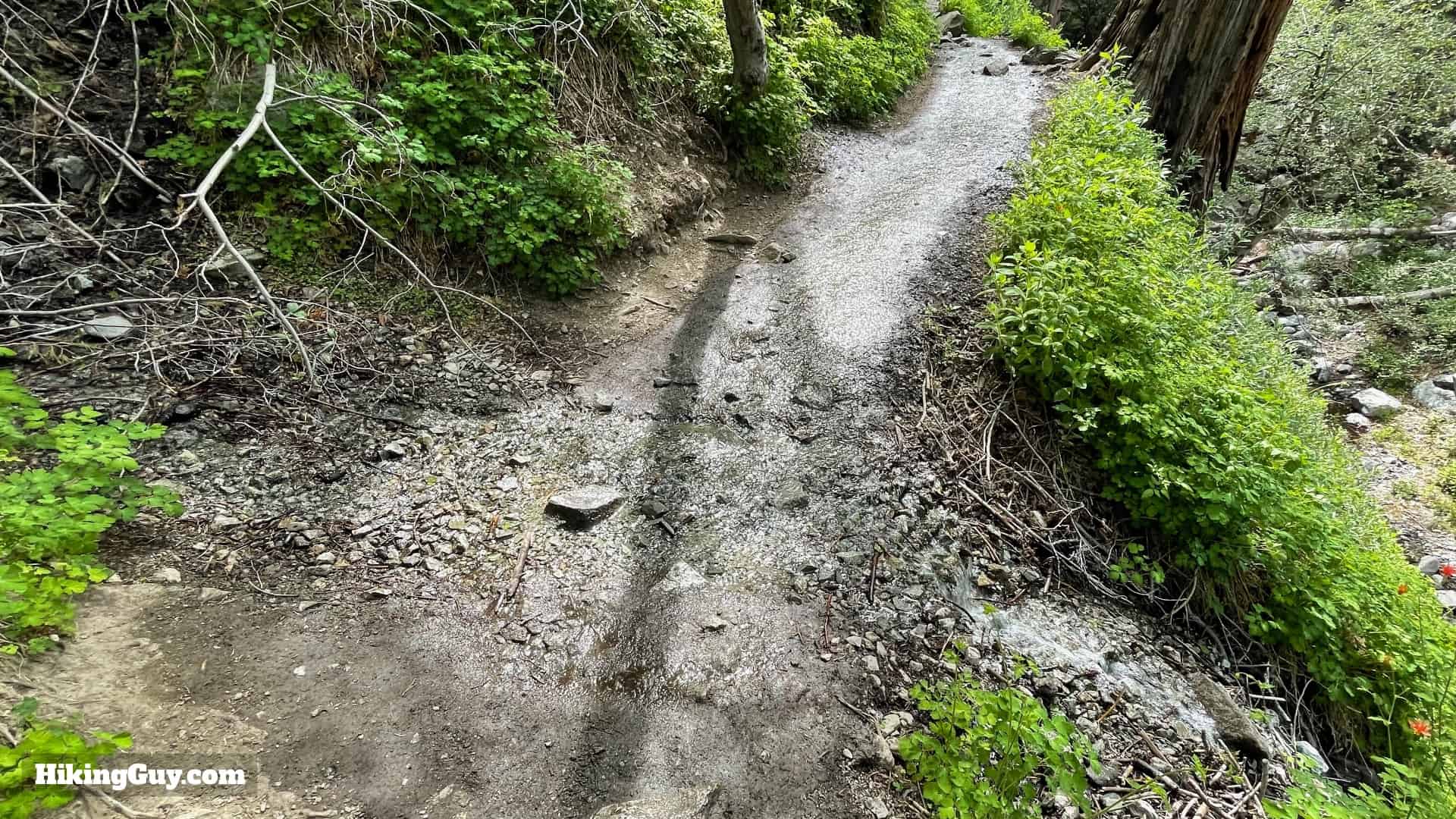 Cucamonga Peak 2021 Update 17