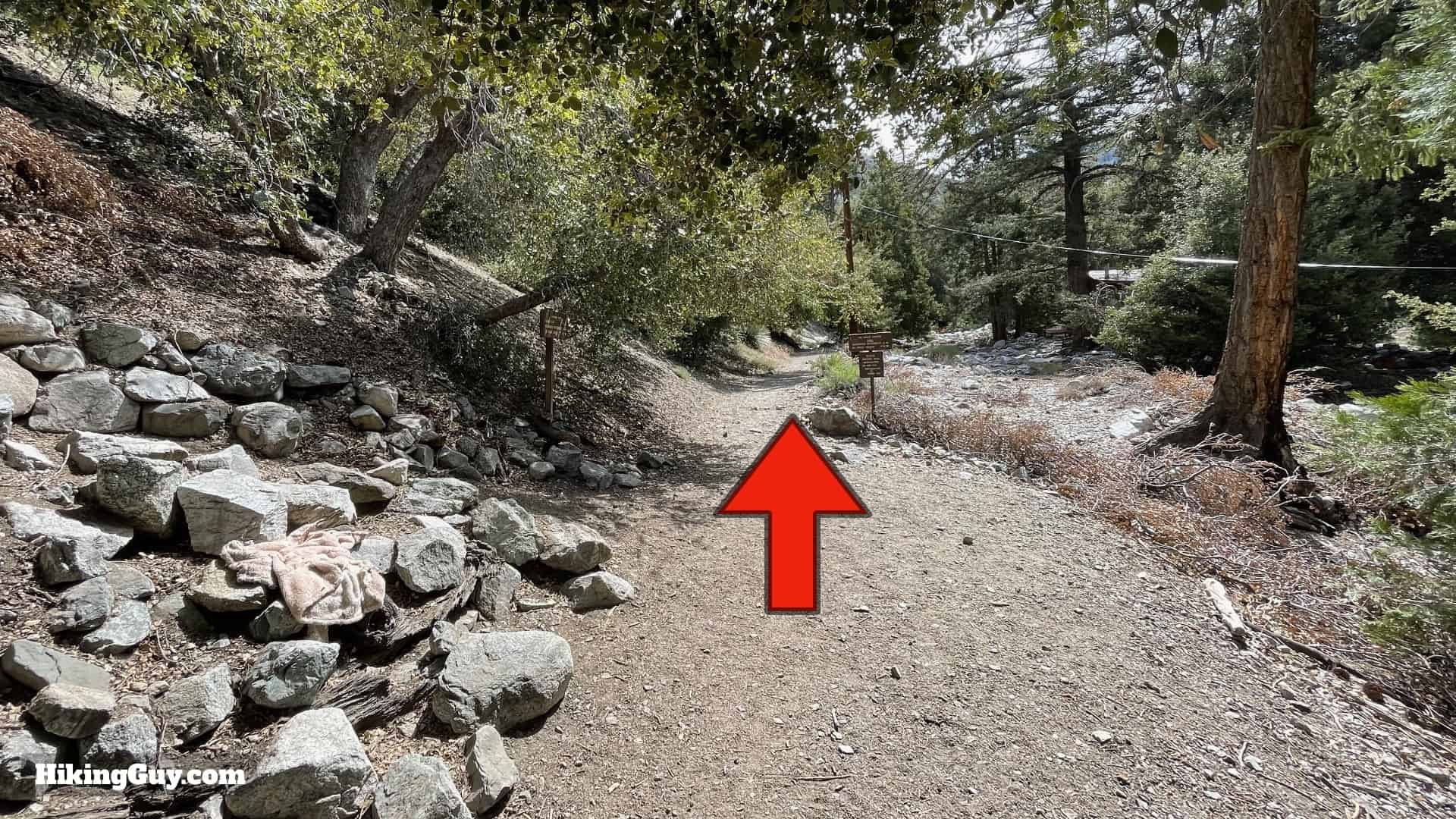 Cucamonga Peak 2021 Update 18